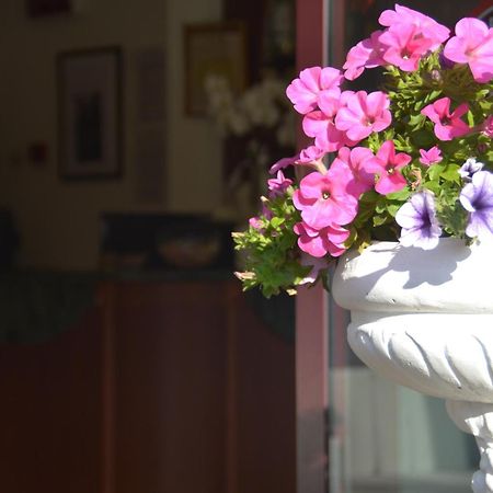 Hotel Bel Sogno Римини Екстериор снимка