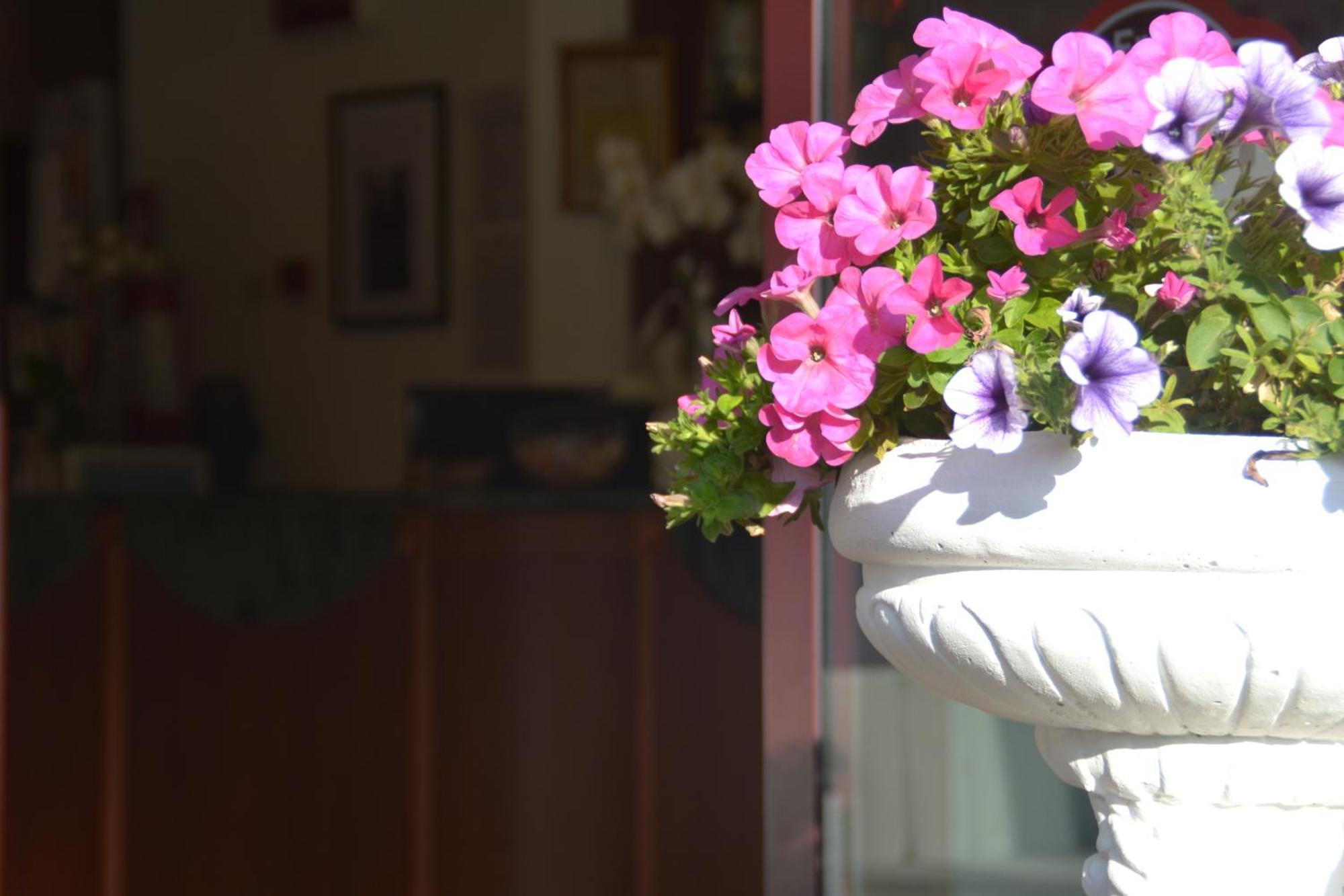 Hotel Bel Sogno Римини Екстериор снимка